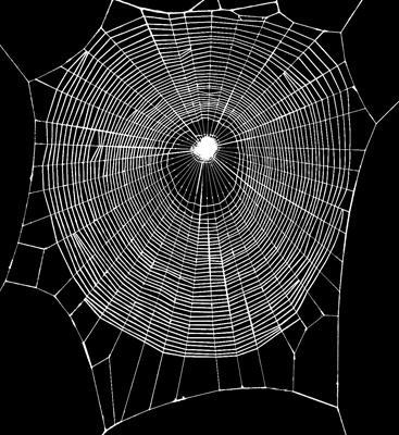 orb-web