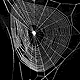 Gasteracantha cancriformis web