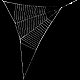 Hyptiotes paradoxus web