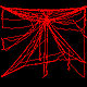 Nephila web construction