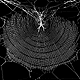 Nephila web