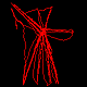 Zosis geniculatus web construction